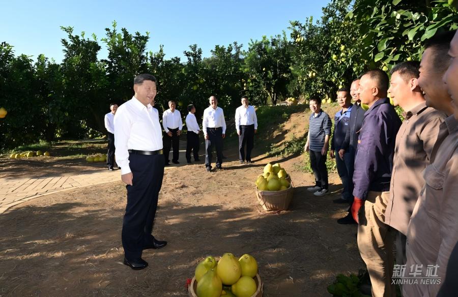 学习进行时丨习近平总书记关心推动老区发展振兴的故事