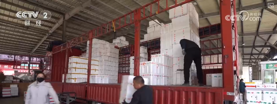 果蔬争“鲜”上市供销两旺 百姓冬季“菜篮子”“果盘子”消费需