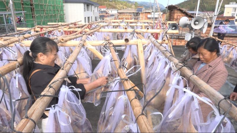 江西兴国腊鸭迎来制作旺季 传统手艺晒出乡村新景