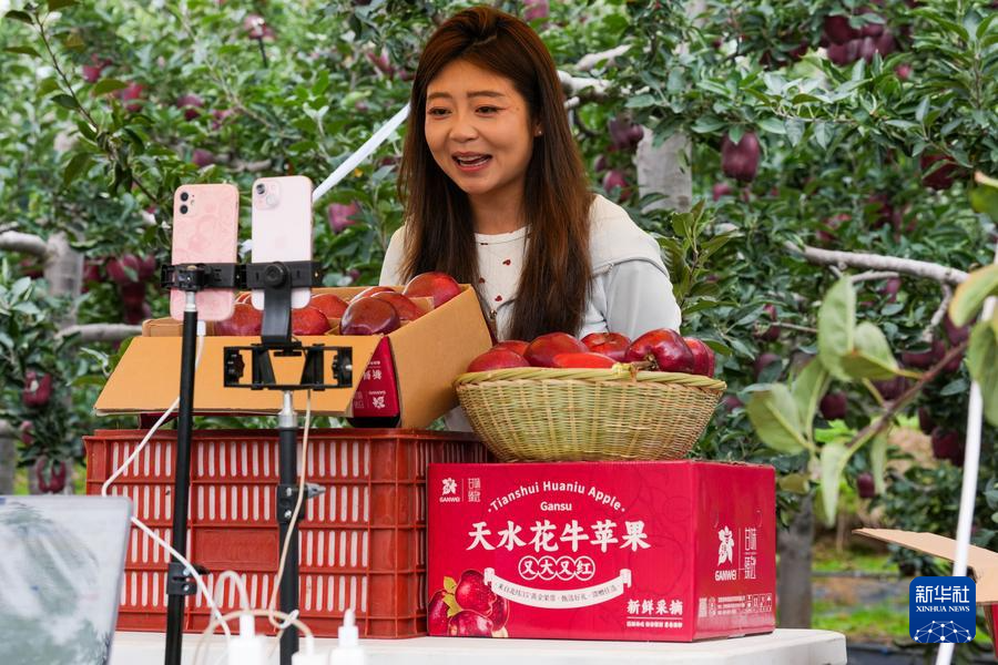 机器人摘果，数据种树：天水花牛苹果园装上“数字大脑”