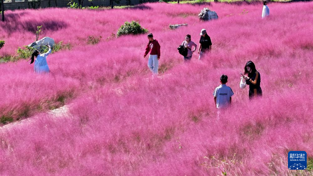 乡村游点亮国庆文旅市场，田园美景释放消费新活力